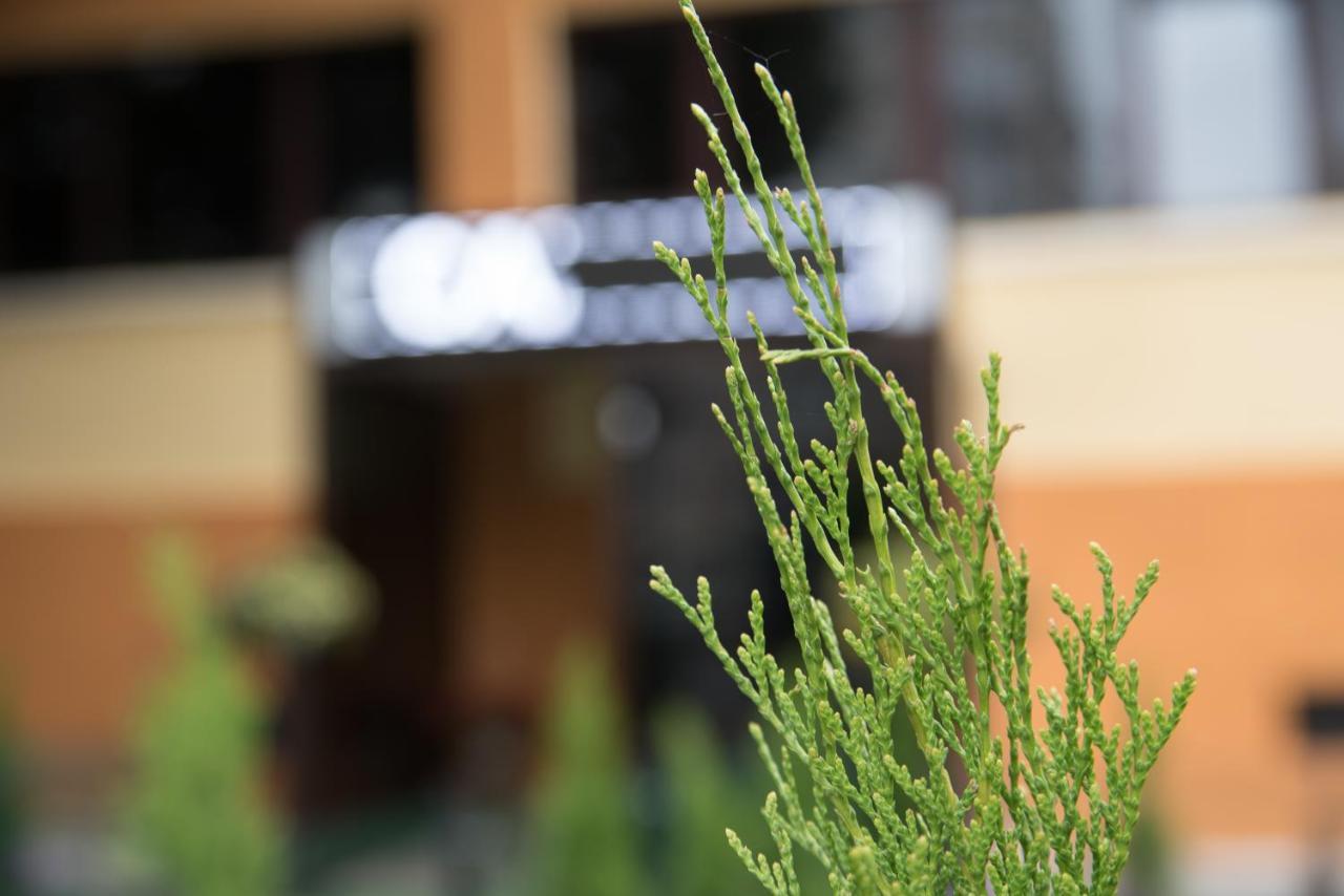 Dream Accommodation Bukares Bagian luar foto