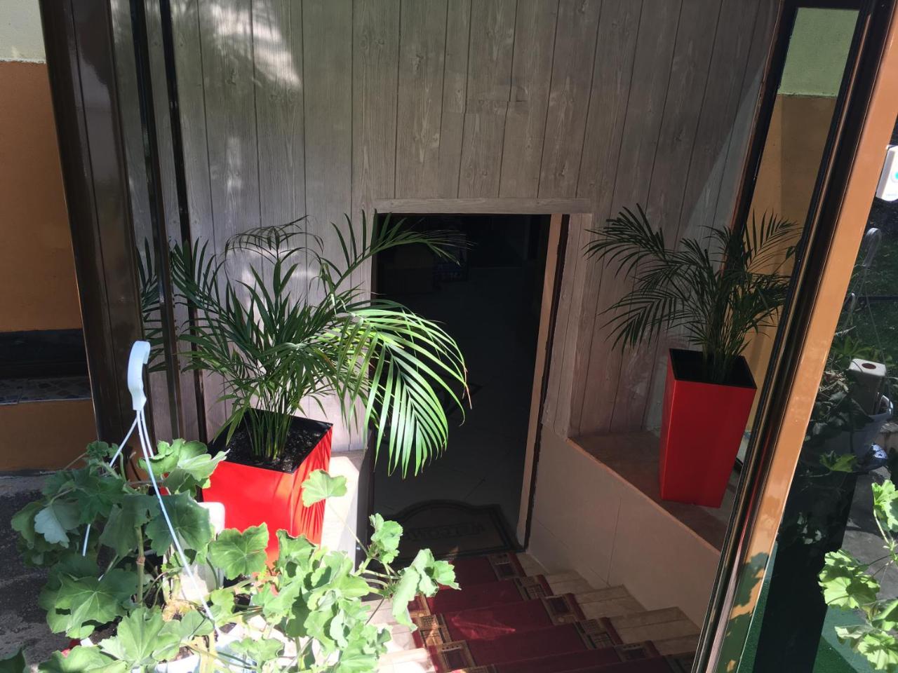 Dream Accommodation Bukares Bagian luar foto